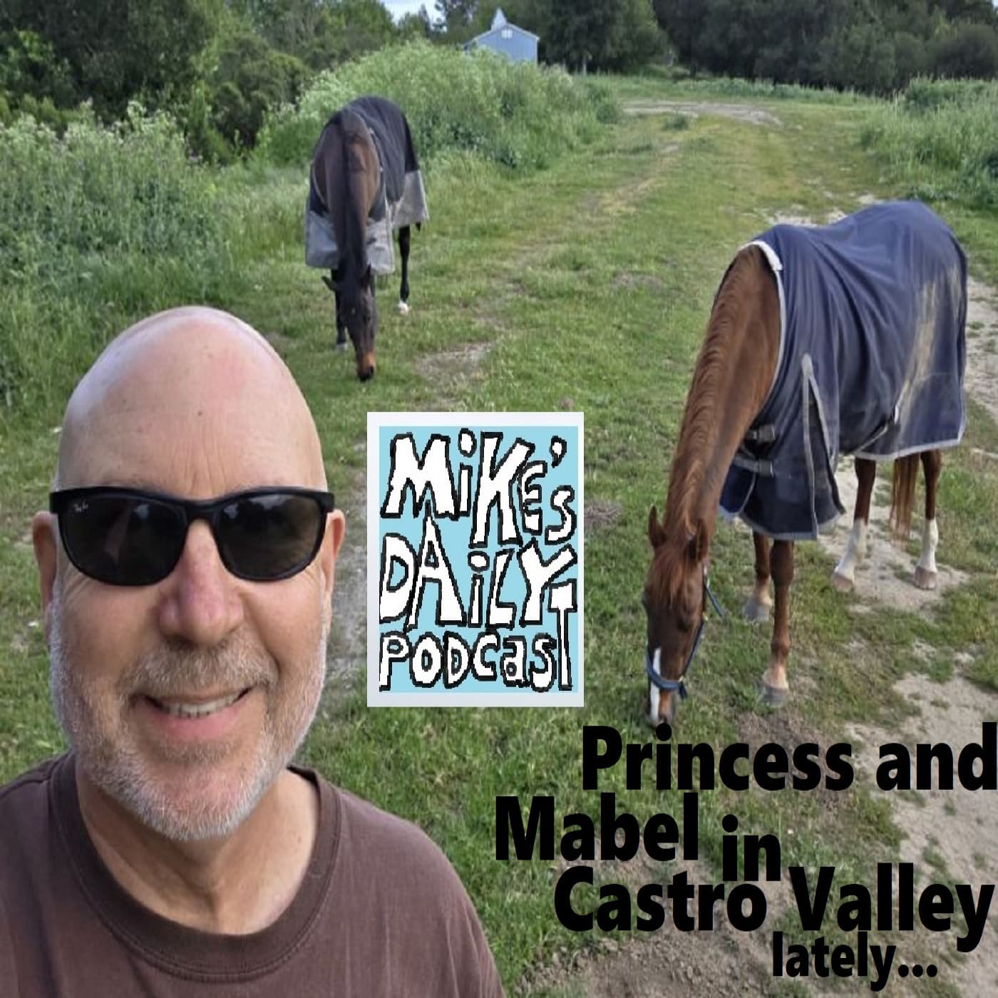 Items! — Mike's Daily Podcast cover
