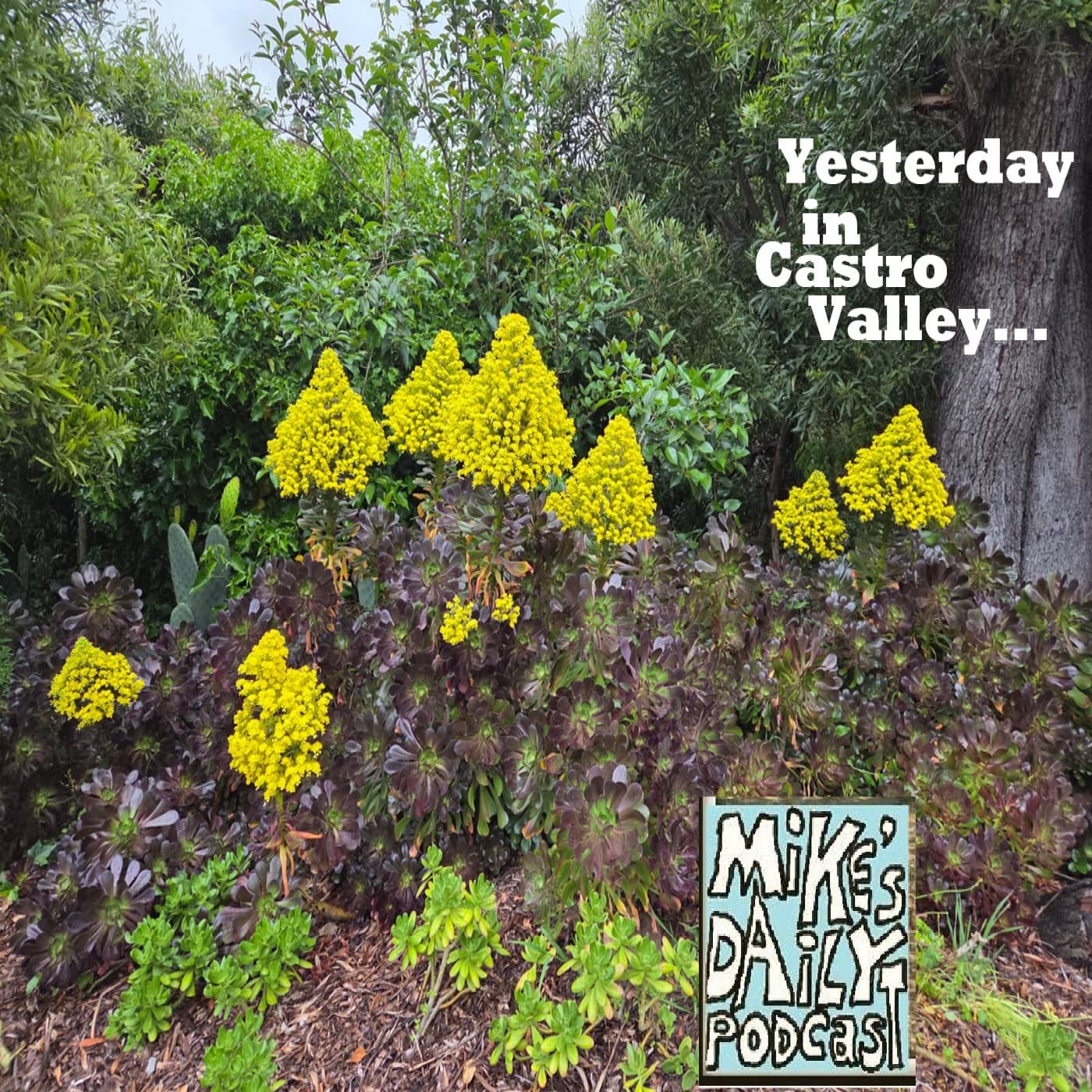 Jumps! - Mike's Daily Podcast cover