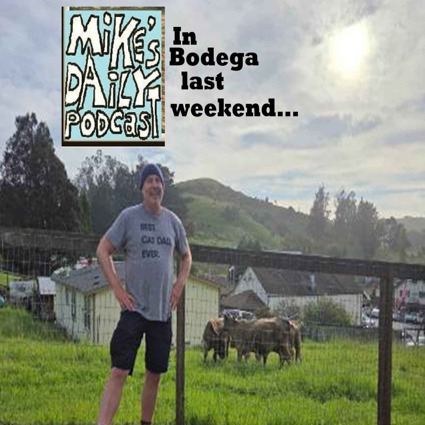 Laundry! - Mike's Daily Podcast cover
