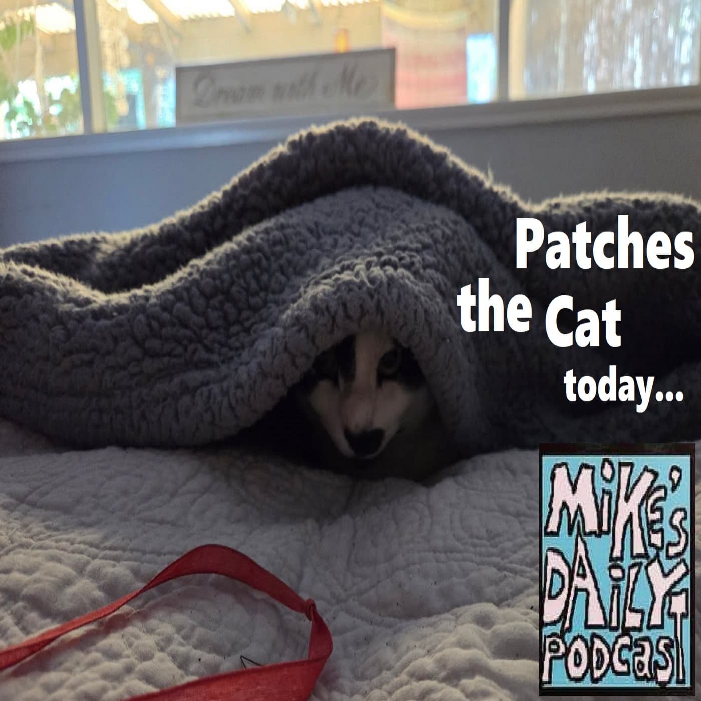 Lives! - Mike's Daily Podcast cover