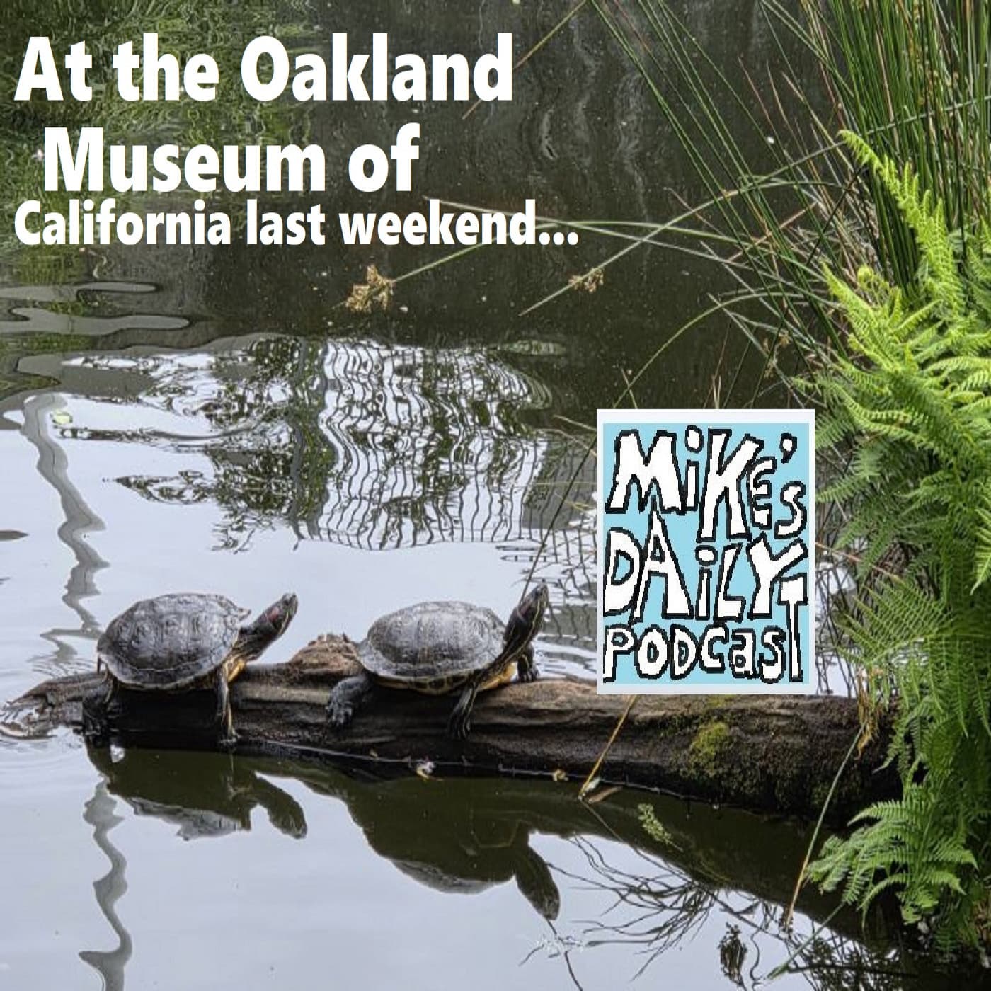 Partook! — Mike's Daily Podcast cover