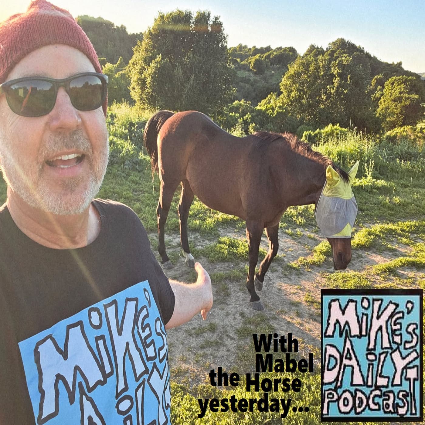 Vicinity! - Mike's Daily Podcast cover