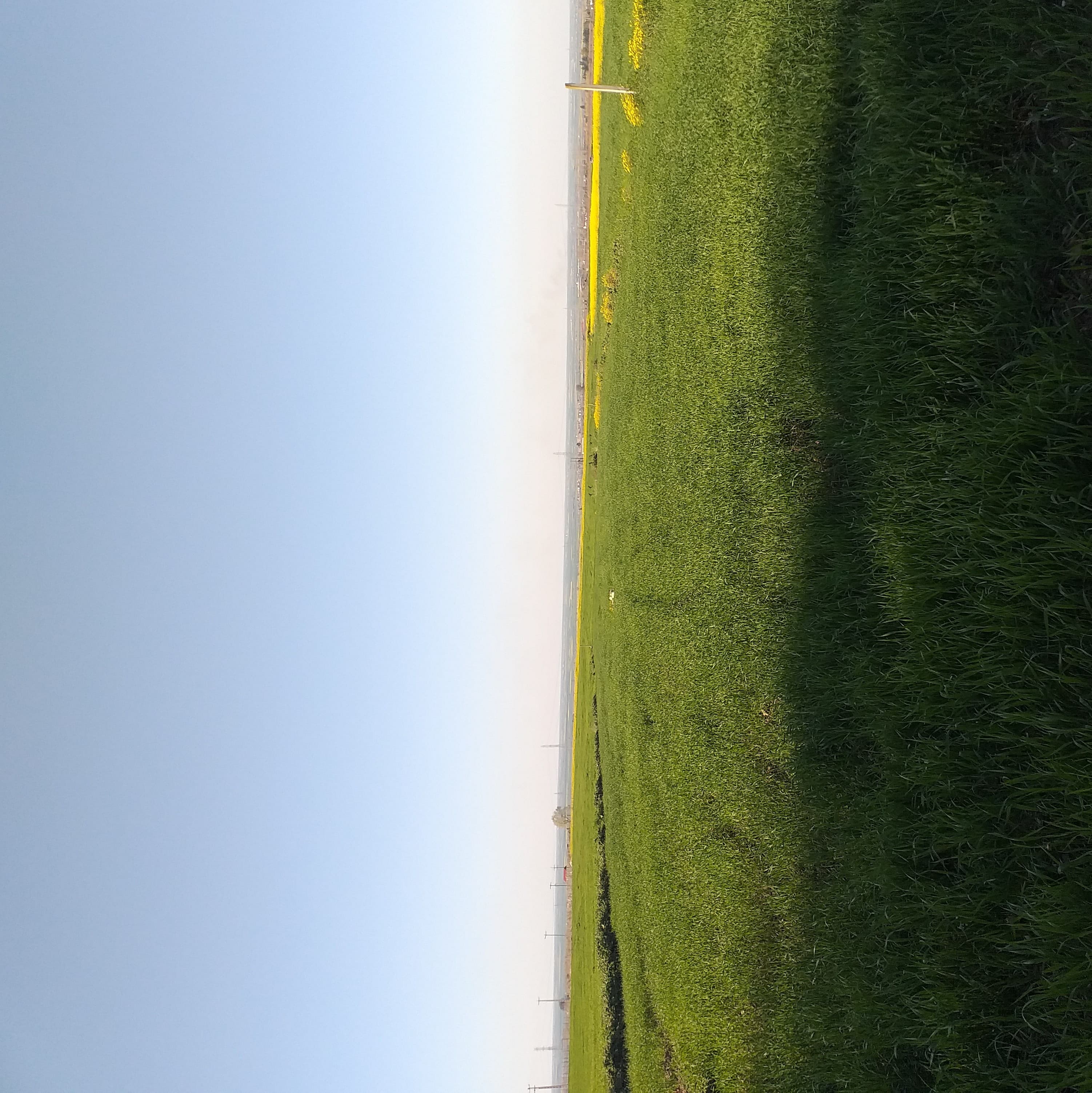 Mustafa Haghighat cover