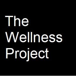 Angela Hayes - The Wellness Project cover