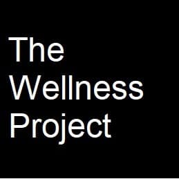Father Peter Mcverry - The Wellness Project cover