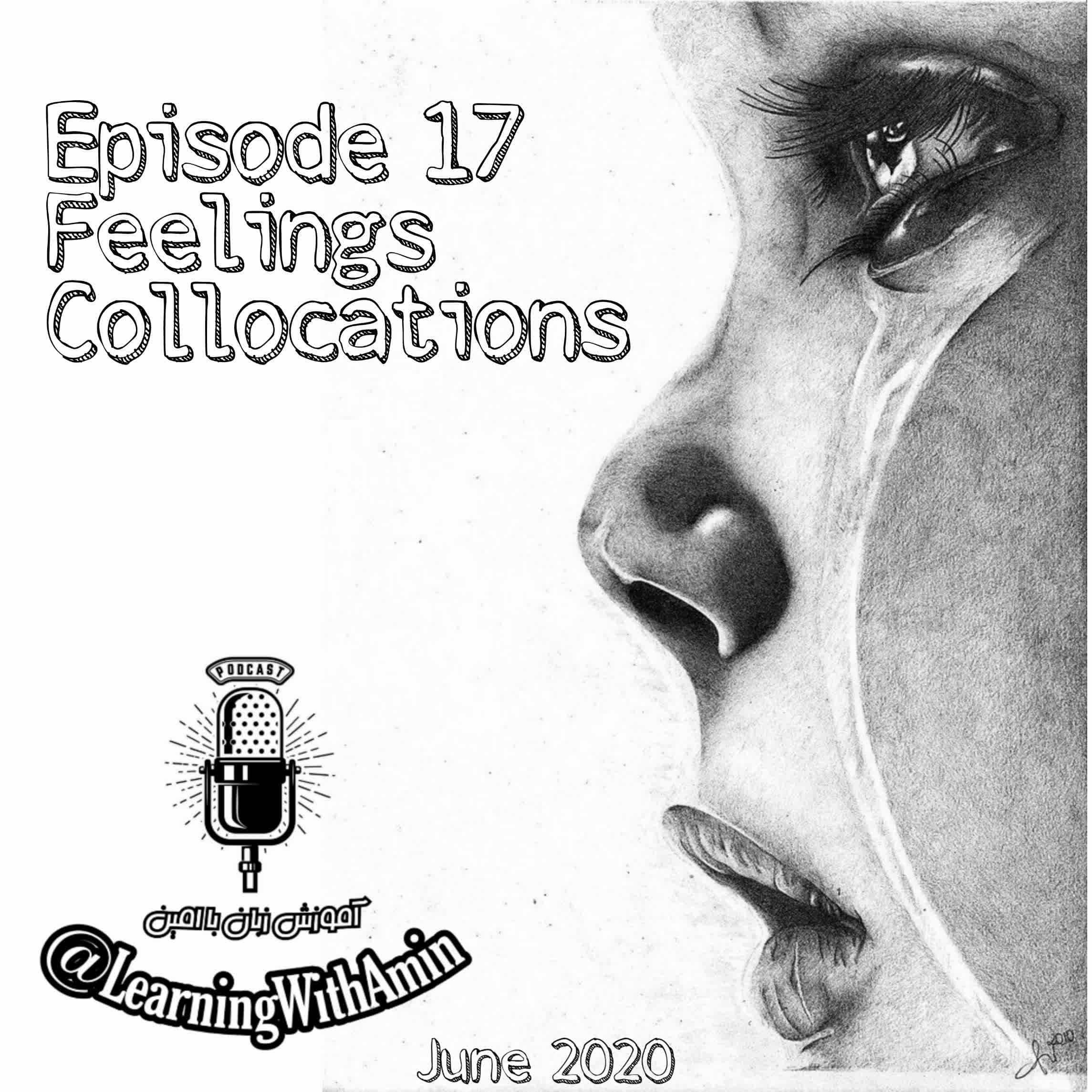 Episode 17 - Feelings - آموزش زبان انگلیسی با امین  | Learn English With Amin cover