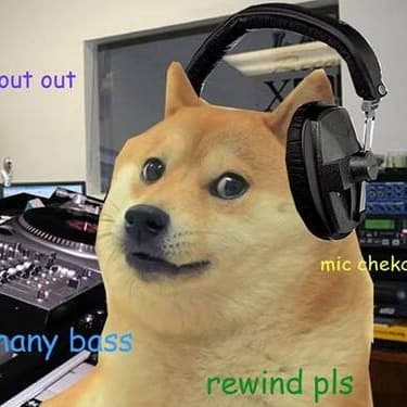 DOGE Cast cover