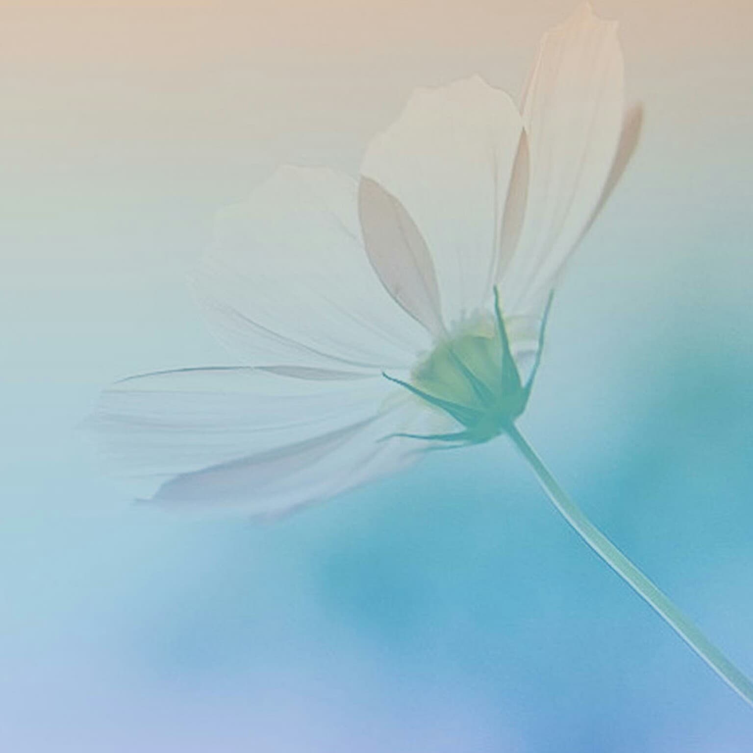 Your Character And Personality - AP channel cover