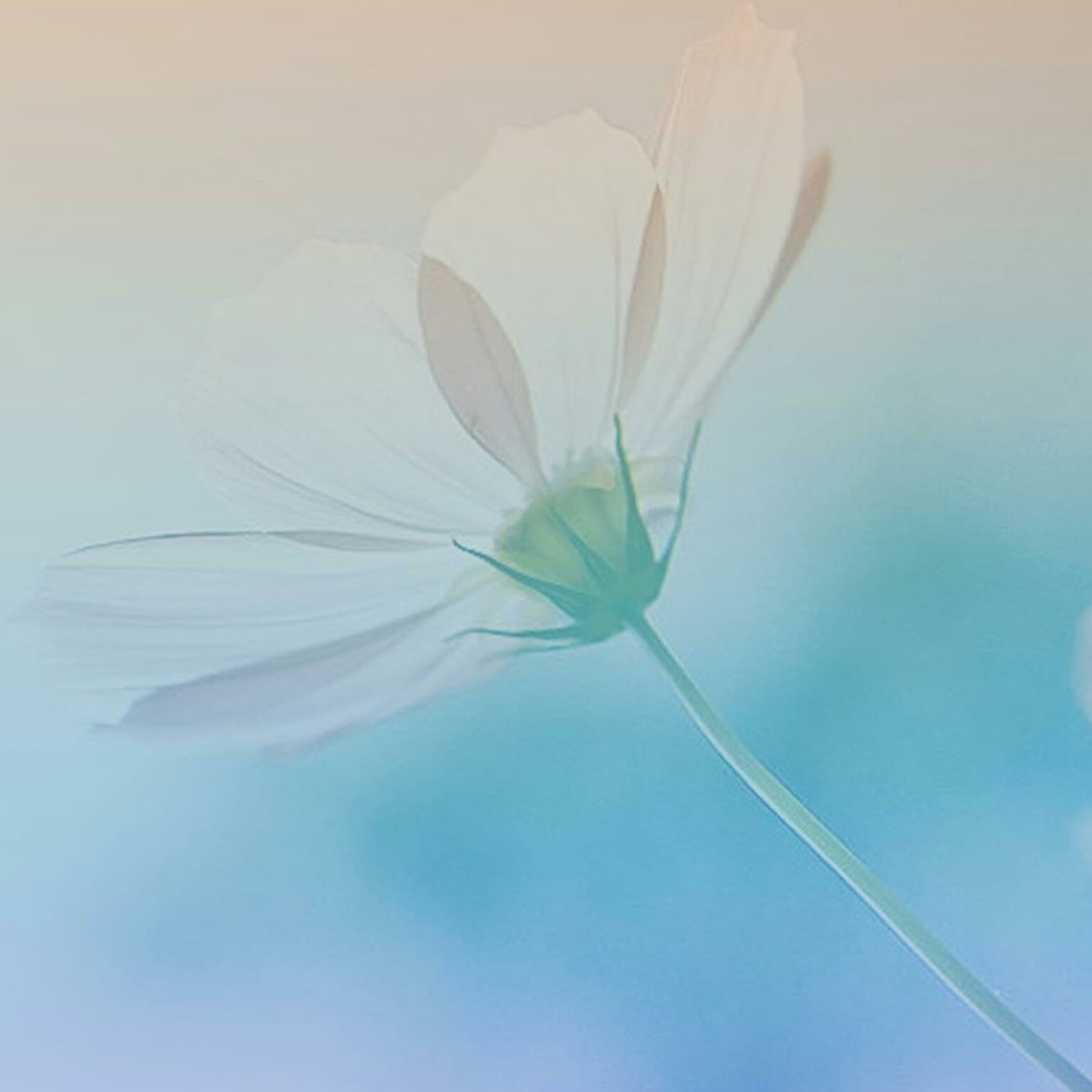 Circle of concern and Circle of influence - AP channel cover