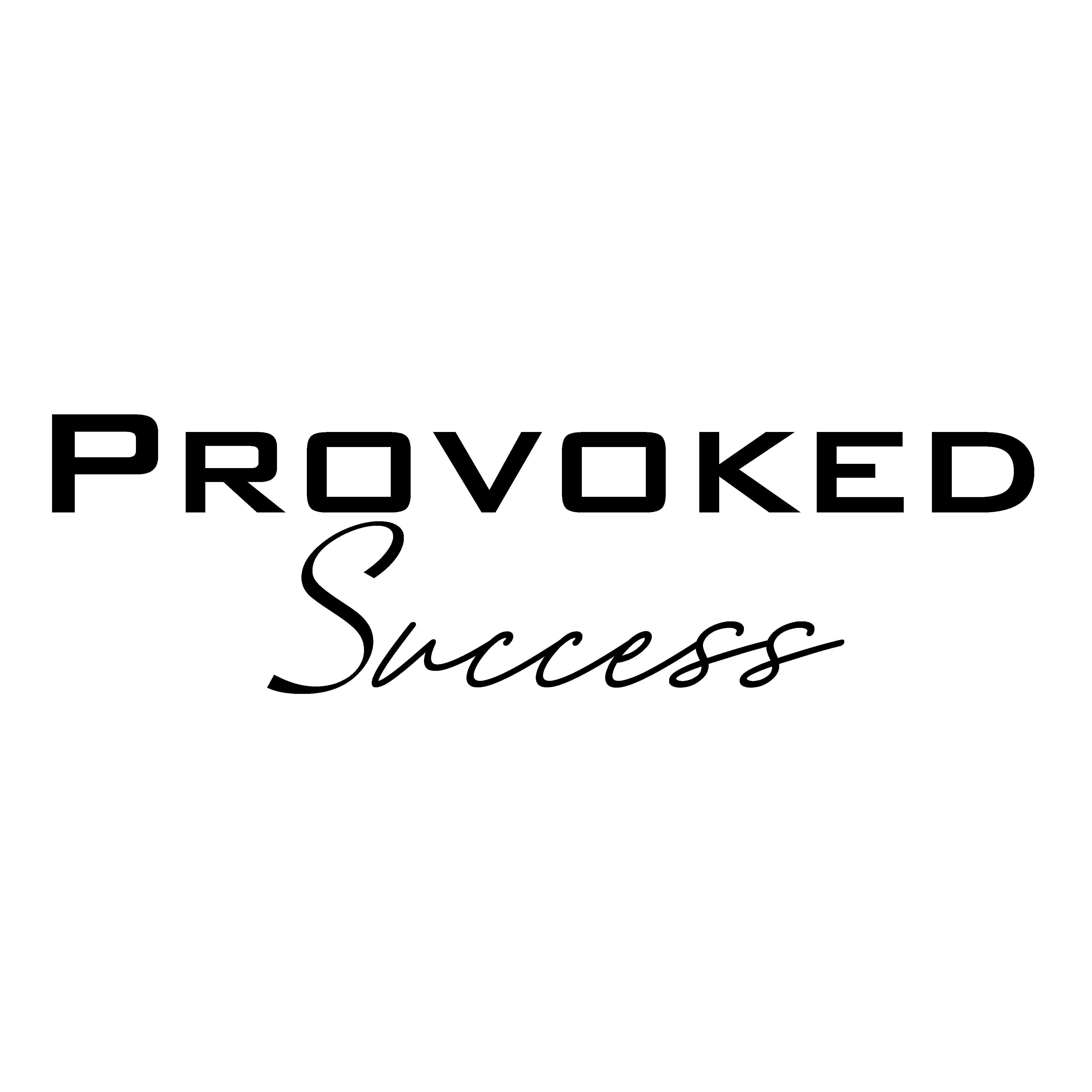 Provoked Success cover