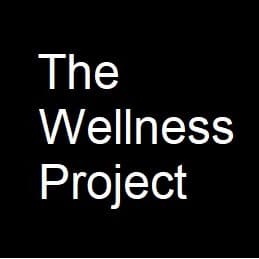 John Evoy - The Wellness Project cover