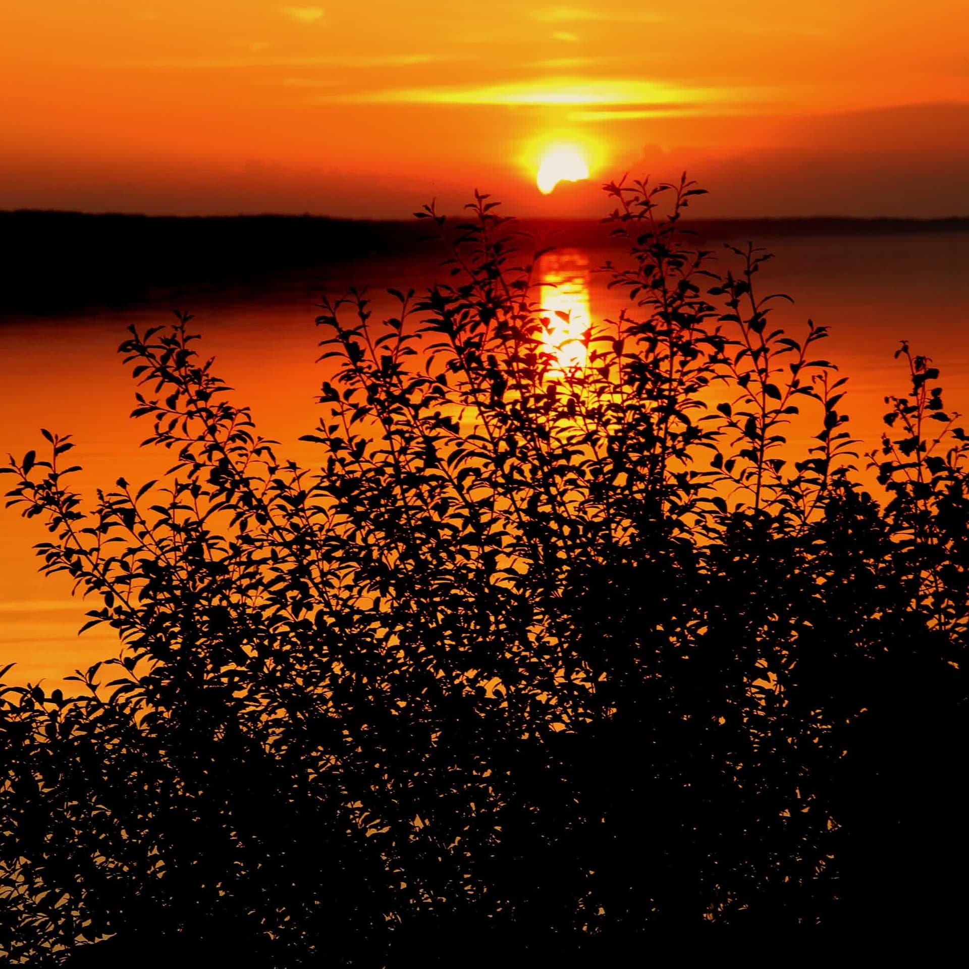 Church of Jesus Christ Study Session with Come Follow Me cover