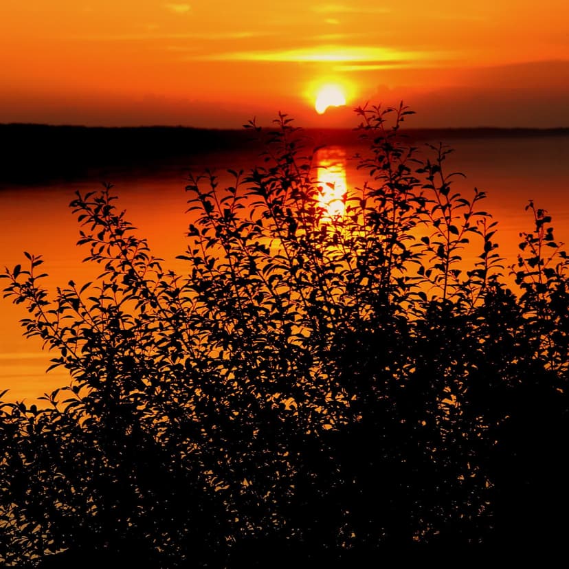 Church of Jesus Christ Study Session with Come Follow Me cover