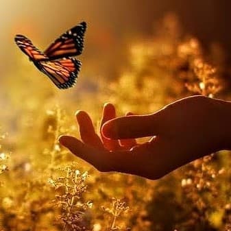 Martha  Martha . Channel cover