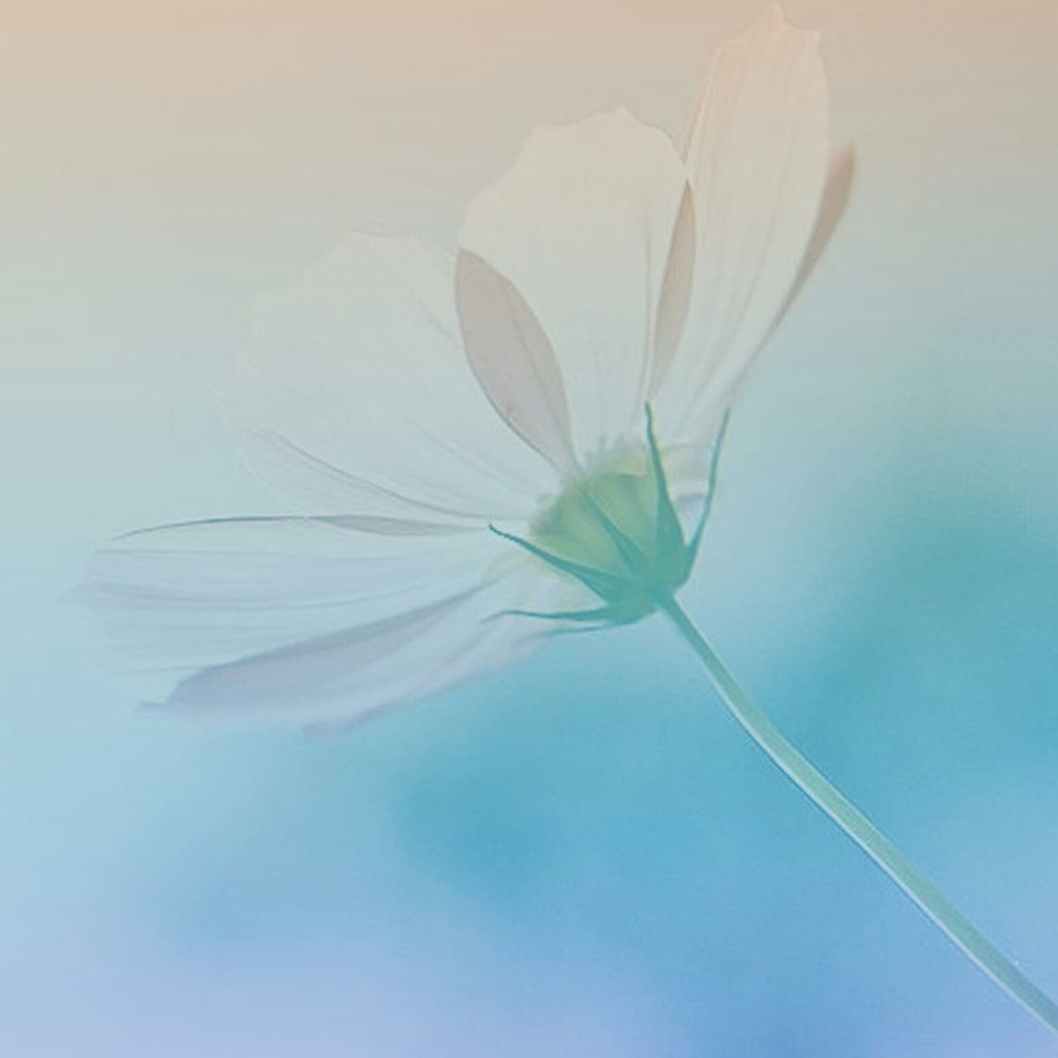 Rich Dad Poor Dad - AP channel cover