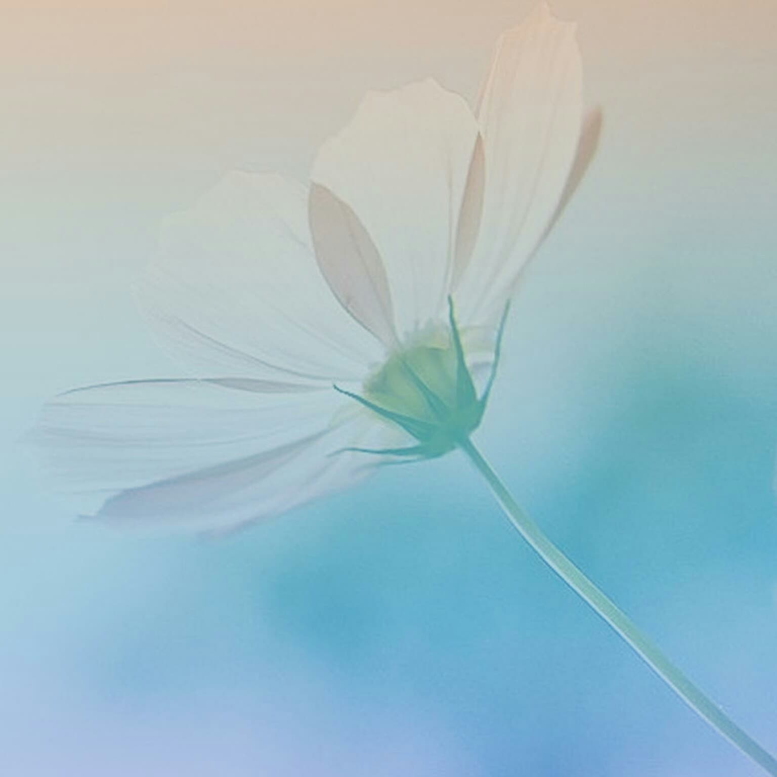 Big Picture - AP channel cover