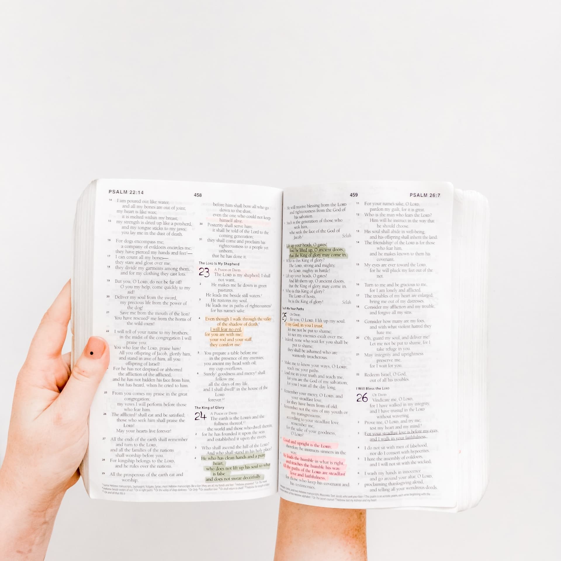Somente as Escrituras - Beth Midrash #50 - Beth Midrash cover