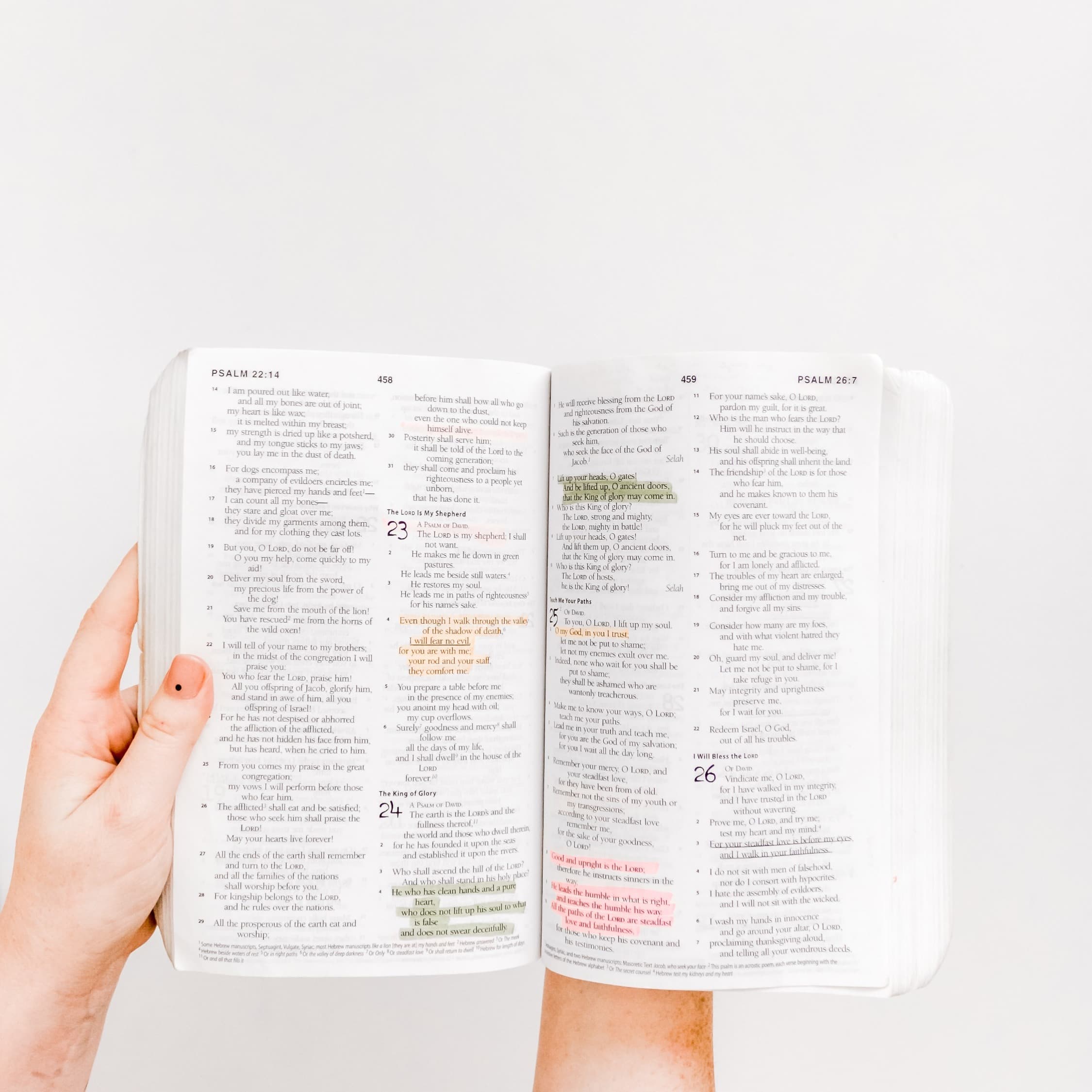 Somente as Escrituras - Beth Midrash #50 - Beth Midrash cover