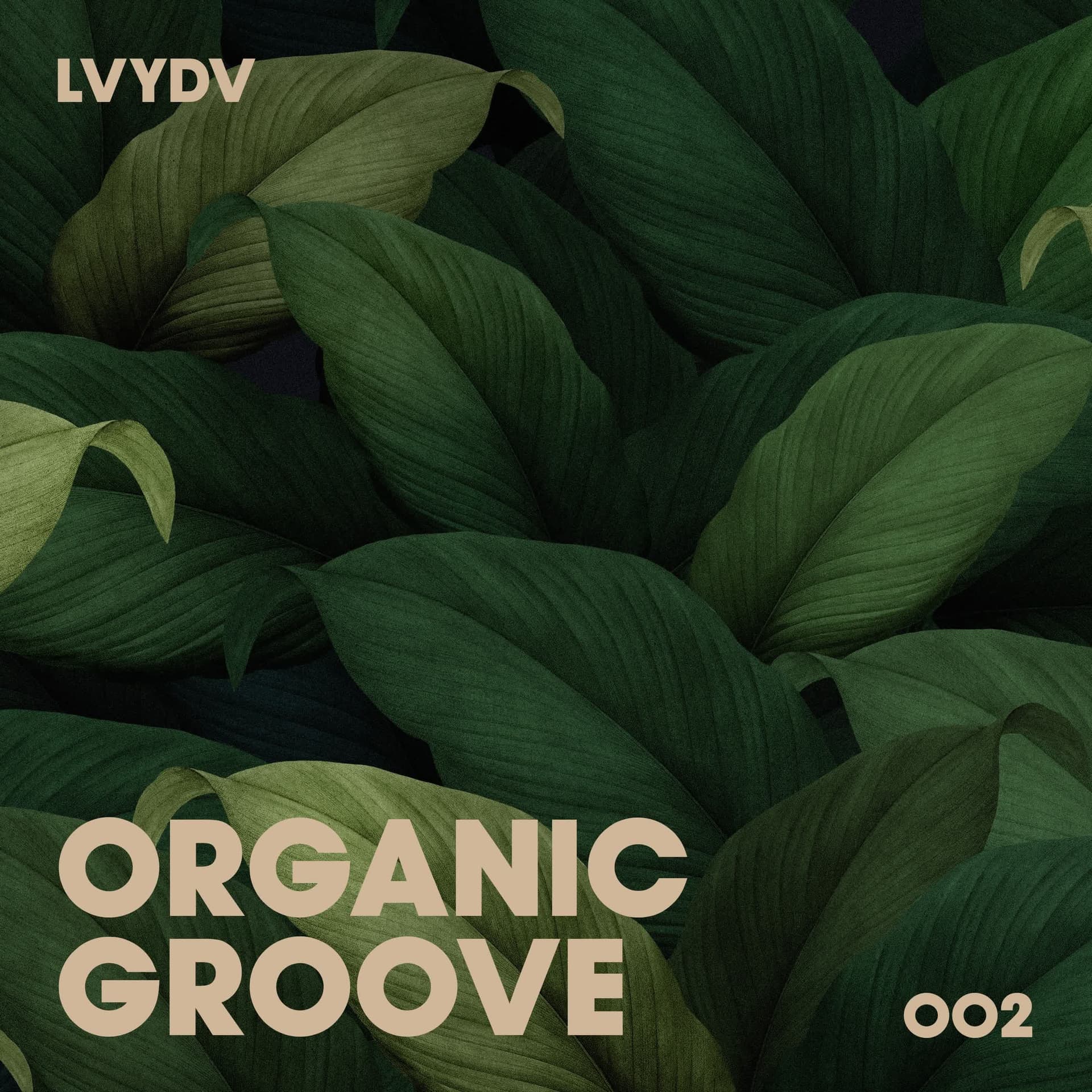 LVYDV - Organic Groove 002 - Organic Groove cover