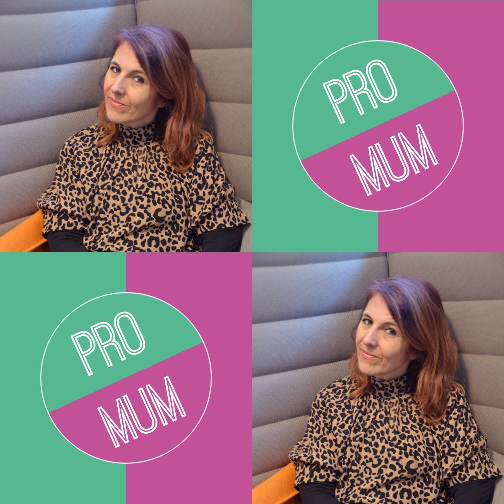 Pro Mum - Sue Higgs - Pro Mum cover
