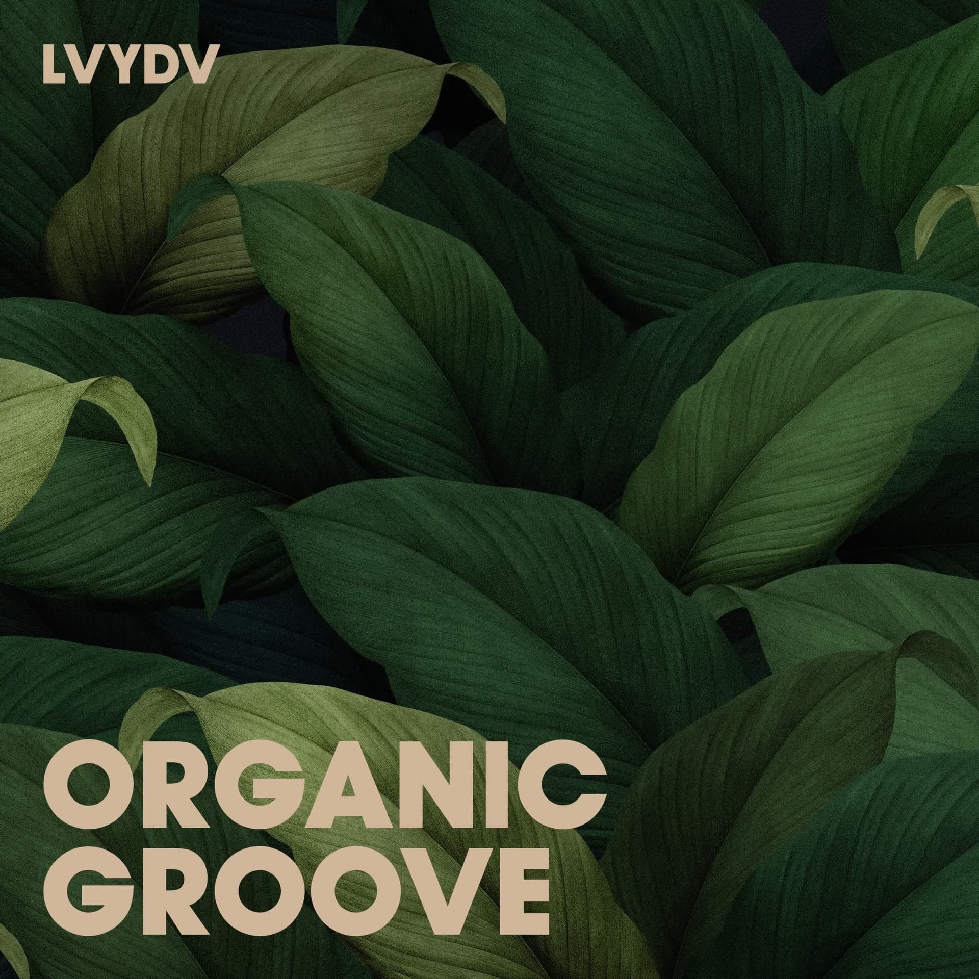 Organic Groove cover
