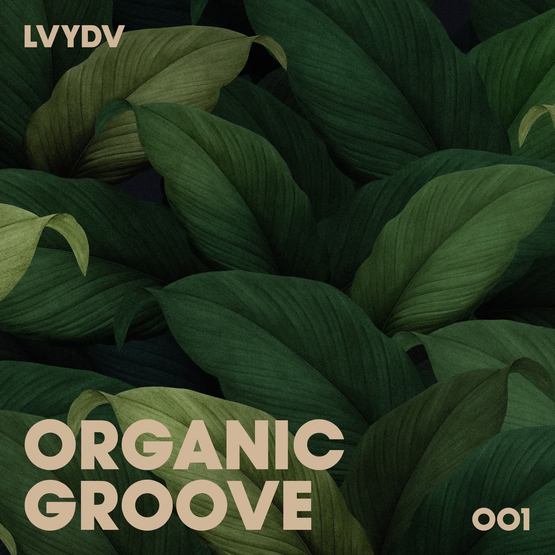 LVYDV - Organic Groove 001 - Organic Groove cover
