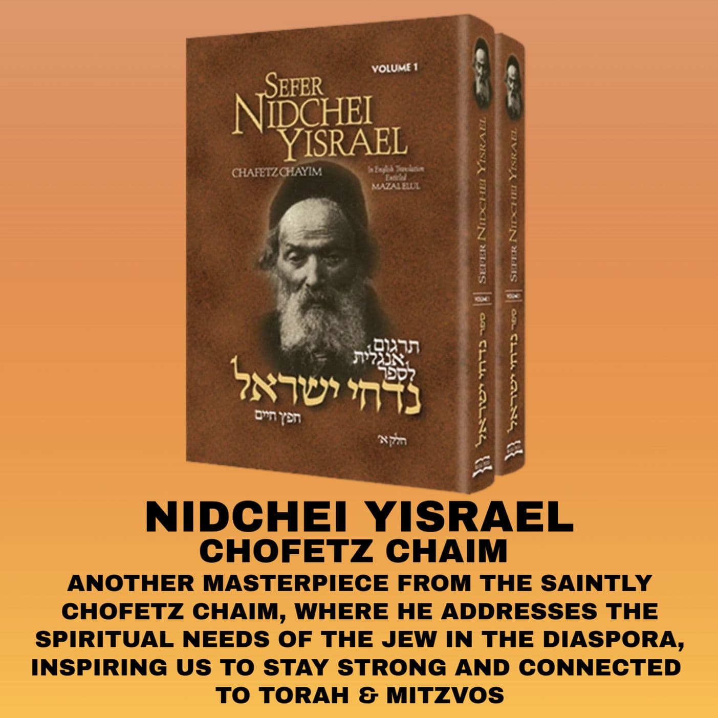 NIDCHEI YISRAEL #31 "Ignorance Is Not Bliss" - Rabbi Dovid Horowitz Podcast  cover