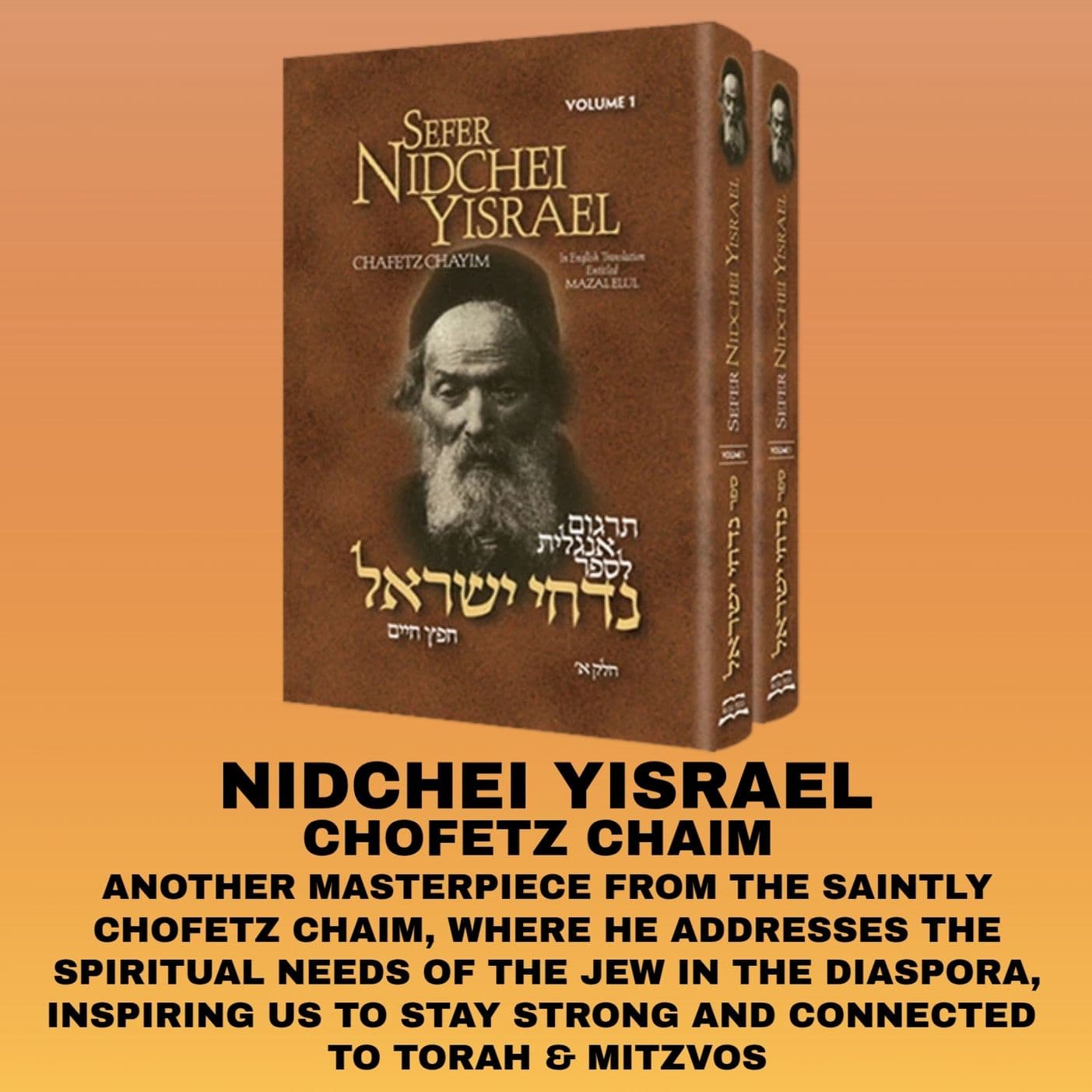 NIDCHEI YISRAEL #44 "Would Hashem Really Abandon Us?! - Rabbi Dovid Horowitz Podcast  cover