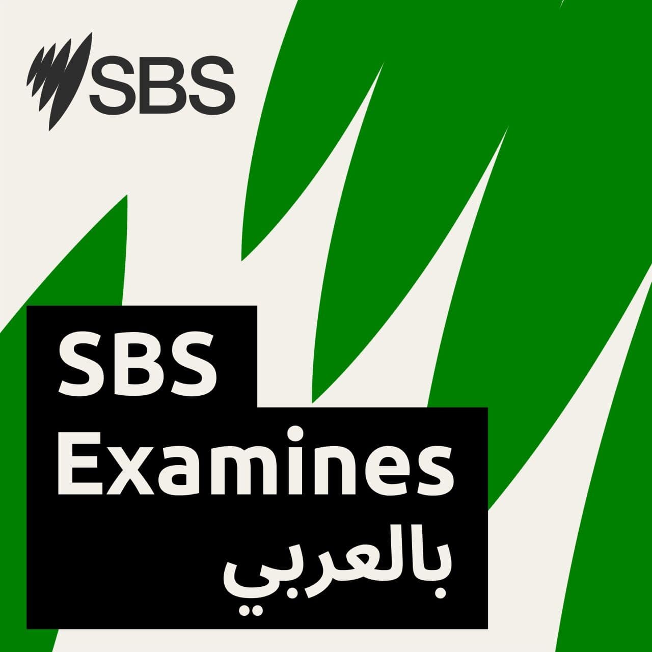 The Social Schism: How did we get here? - الانقسام الاجتماعي في أستراليا: لماذا تراجع الشعور بالانتماء؟ - SBS Arabic - أس بي أس عربي cover