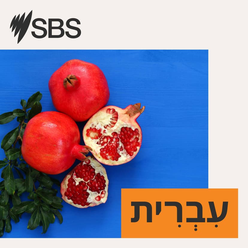 SBS Hebrew cover