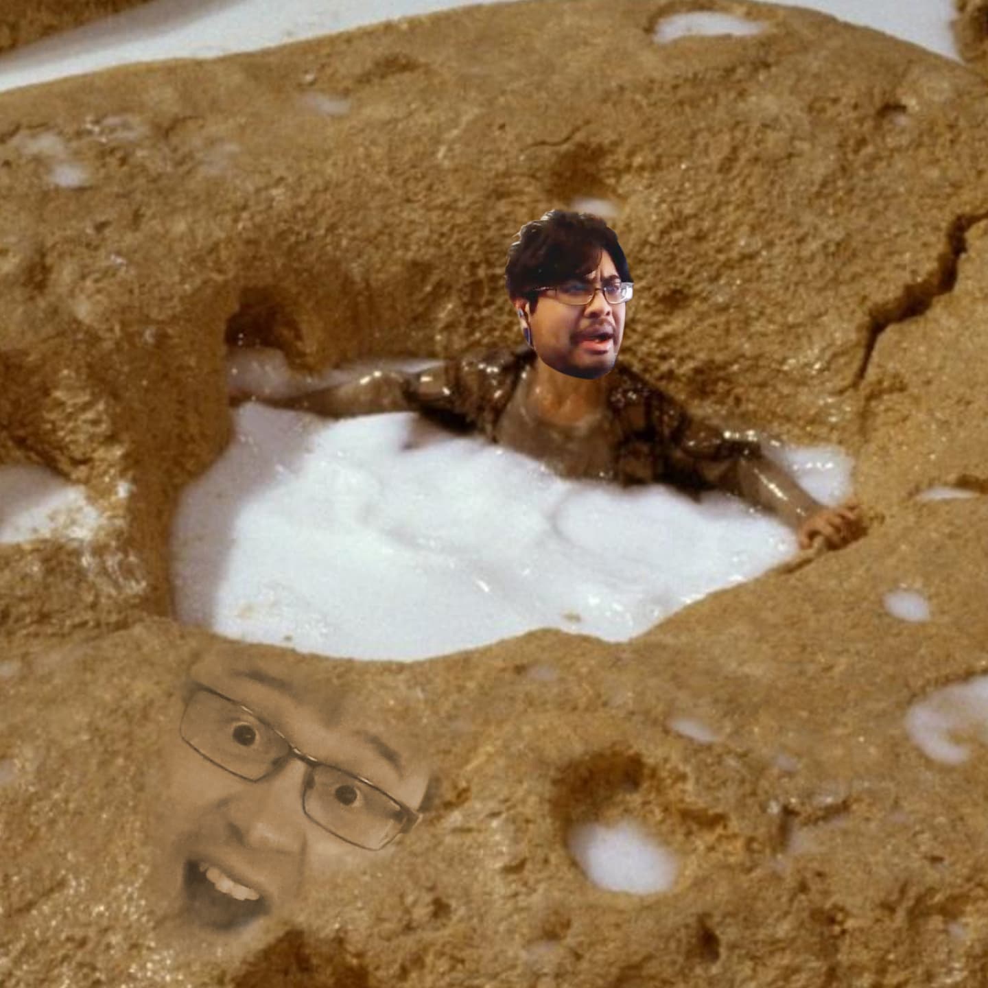 Frivolous Disness - Honey We F~@%ed Up - Serious Disness cover