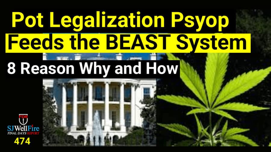 Legalization of Pot / Weed Feeds the Ai BEAST System.  FDR: 474 - SJWellFire: Final Days Report cover