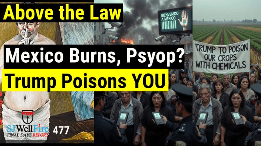 Trump Poisons Us Again | Mexico Burns Psyop | Behavior of Satanists FDR: 477 - SJWellFire: Final Days Report cover