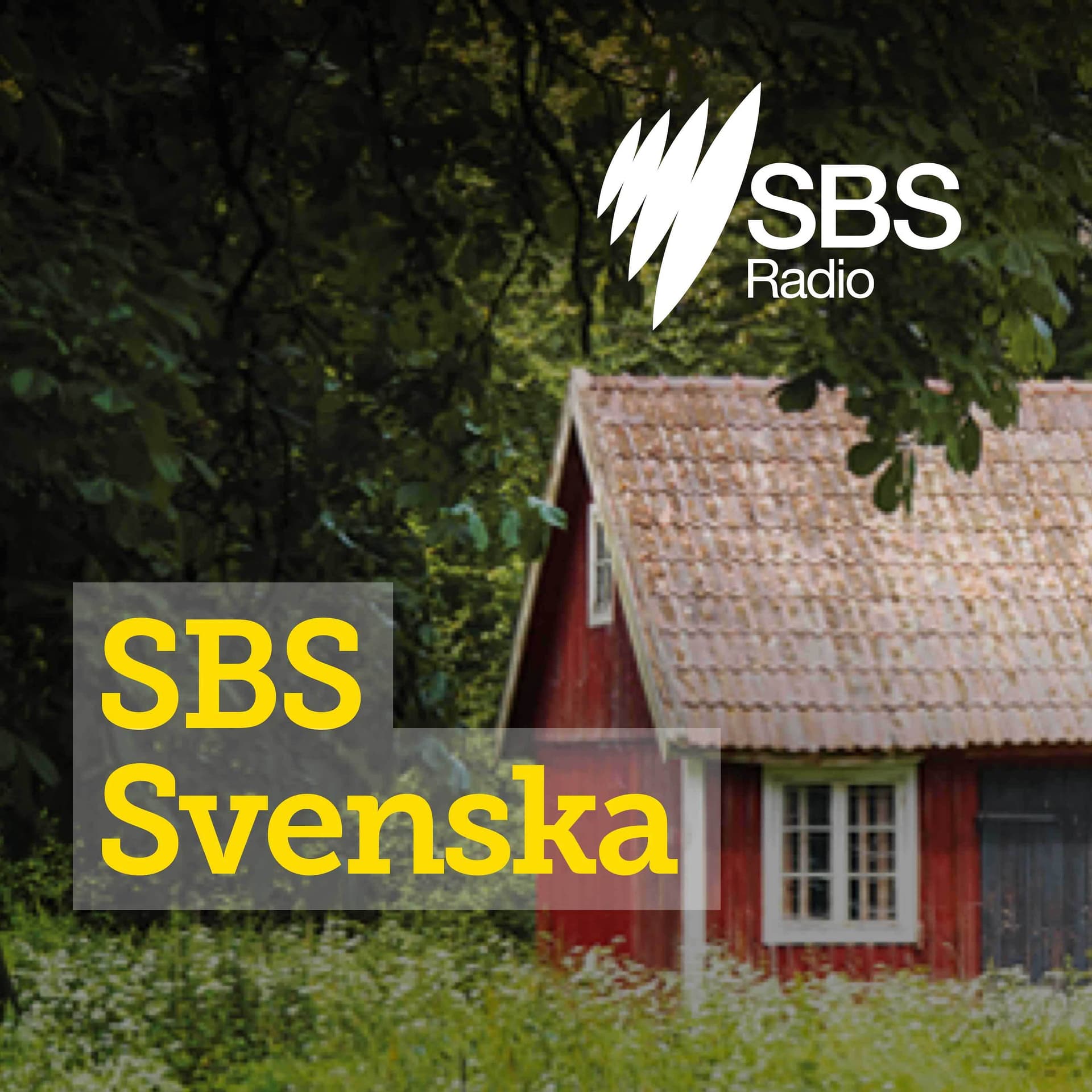 Raoul Wallenberg dödsförklaras - Raoul Wallenberg dödsförklara - SBS Svenska cover