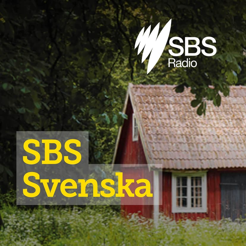 SBS Svenska cover