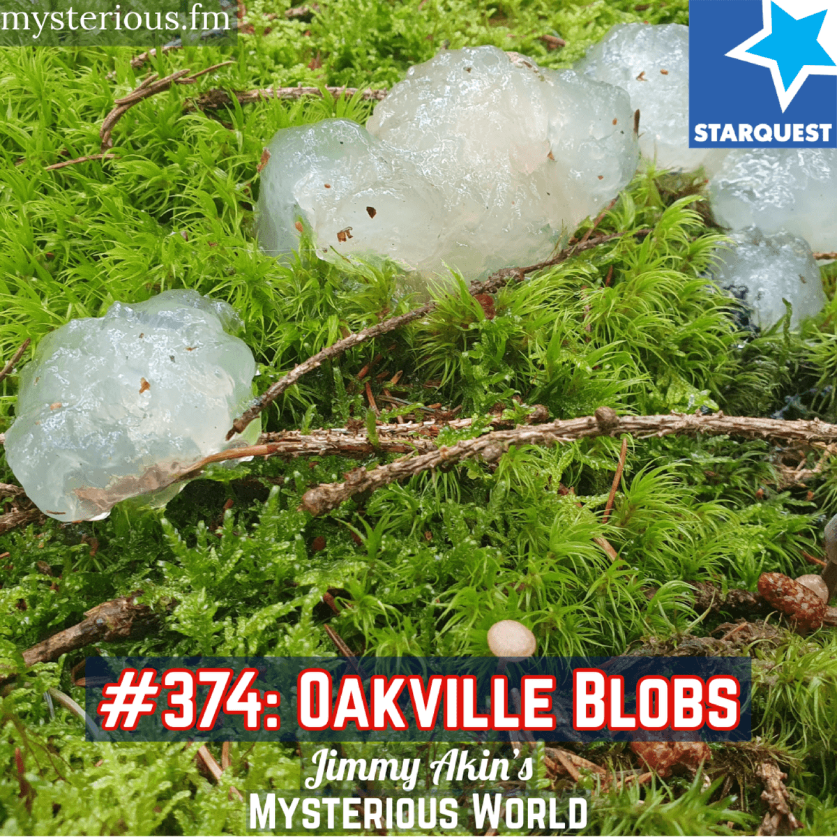 The Oakville Blobs – Jimmy Akin’s Mysterious World - Jimmy Akin's Mysterious World cover