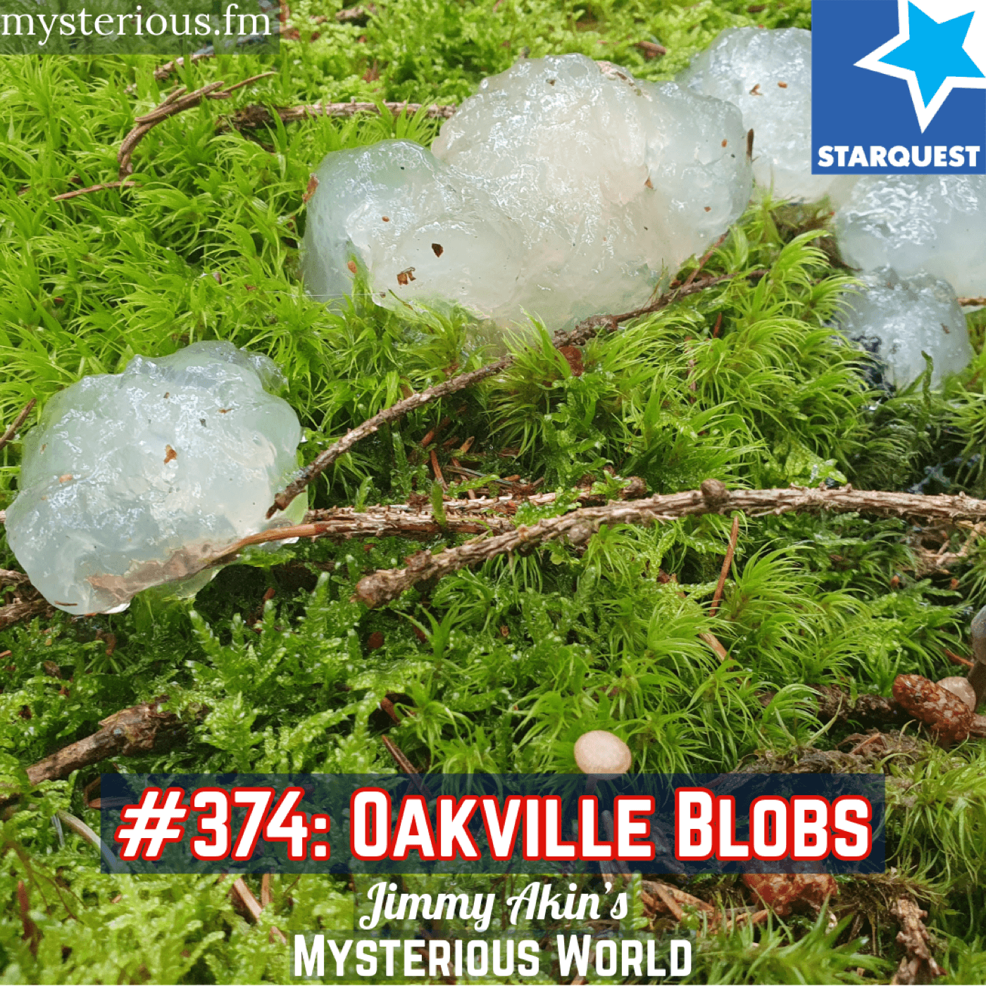 The Oakville Blobs – Jimmy Akin’s Mysterious World - Jimmy Akin's Mysterious World cover