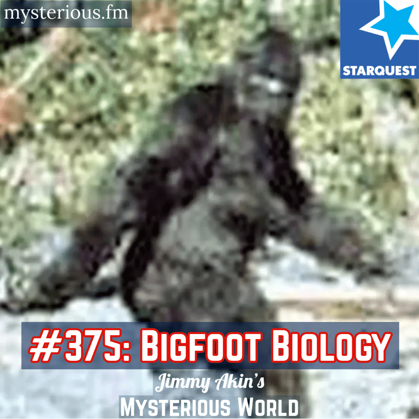 Bigfoot Biology (Sasquatch, Cryptid, Cryptozoology) - Jimmy Akin's Mysterious World cover