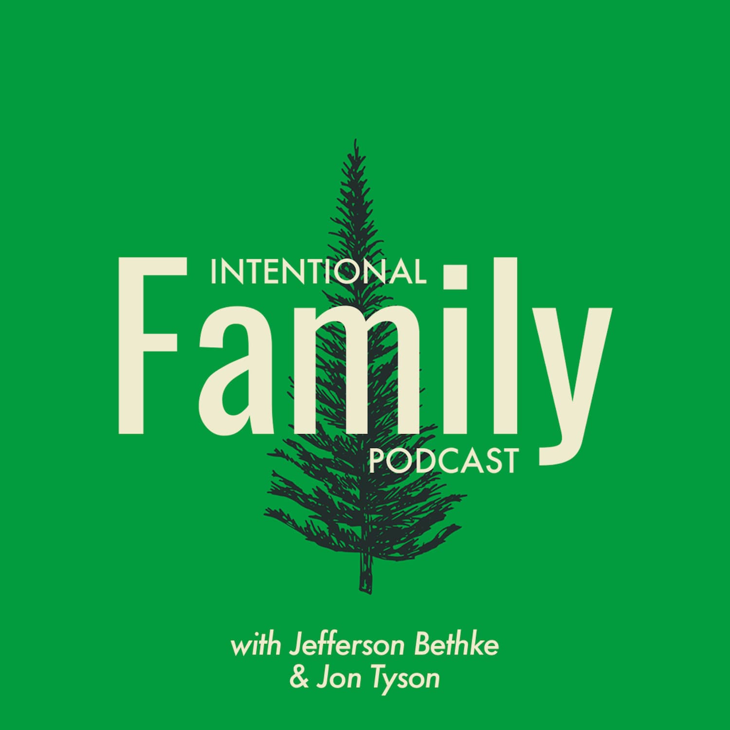 2. What's gone wrong with the family? - Intentional Family cover