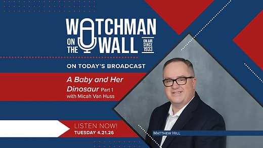 A Baby and Her Dinosaur (Part 1) - Watchman on the Wall cover