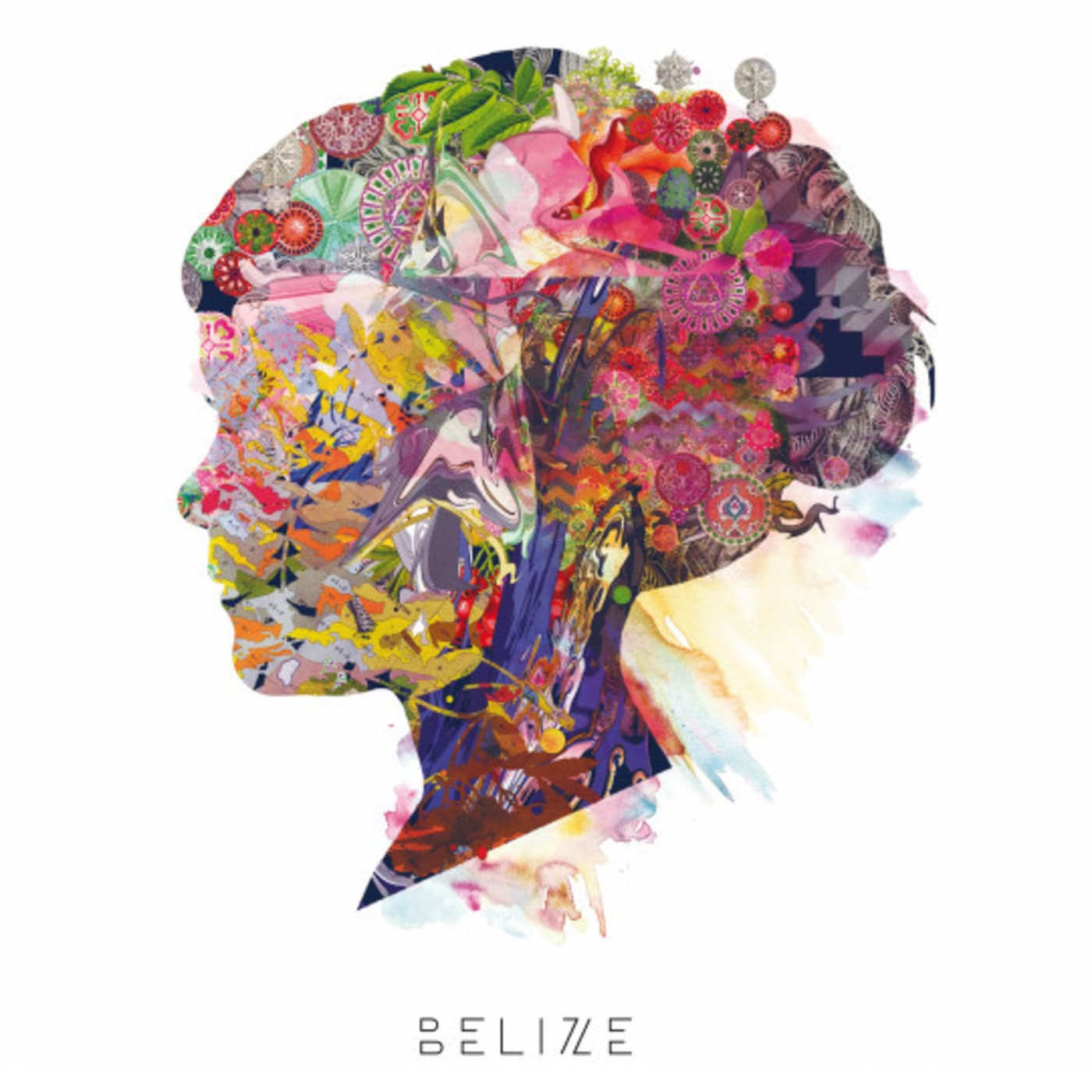 Belize — Los Directos de Rebote FM 2016 cover