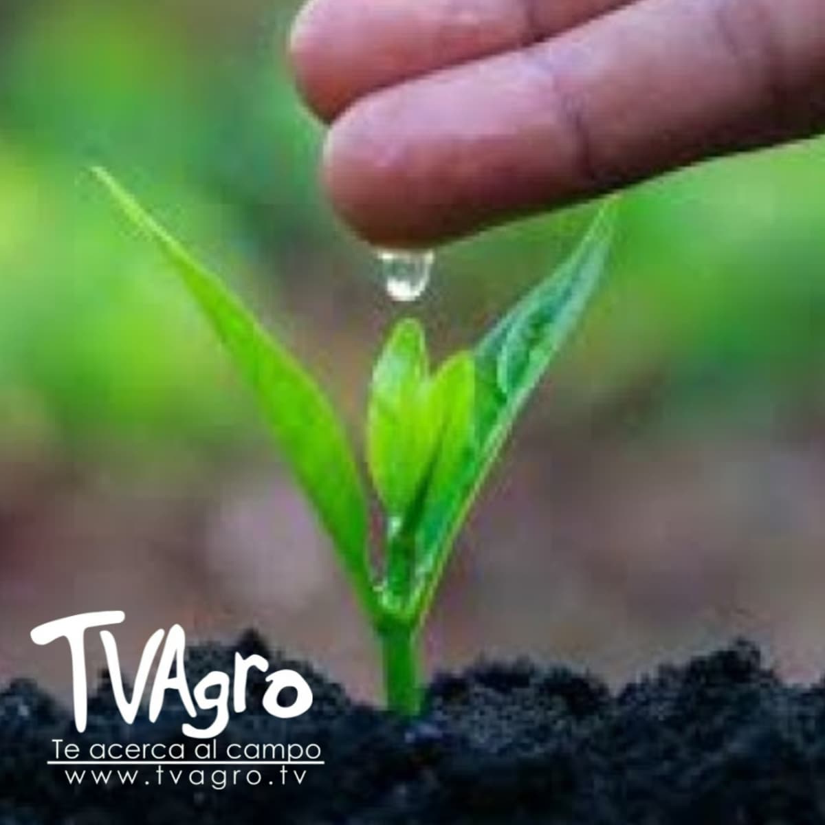 Con Licencia Ambiental I - TvAgro por Juan Gonzalo Angel - TV AGRO cover