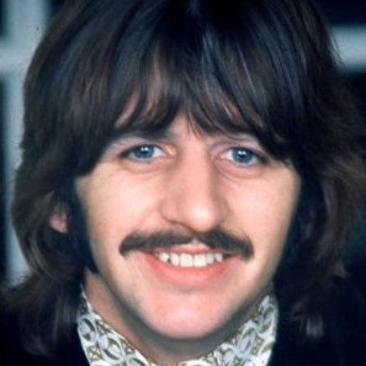 Bye bye Blackbird - Proyecto Beatle cover