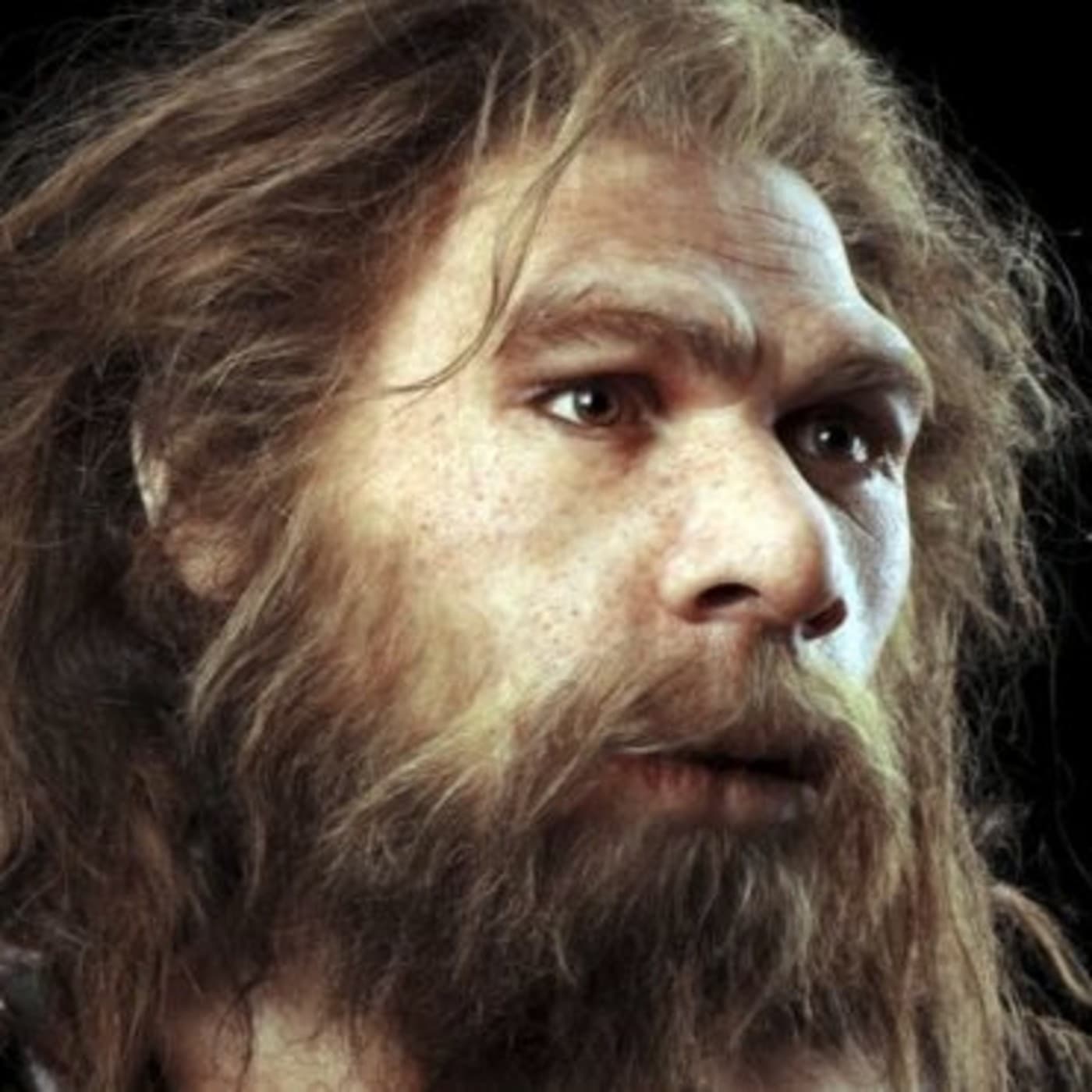 Neandertales (BBC) - Documentales Sonoros cover