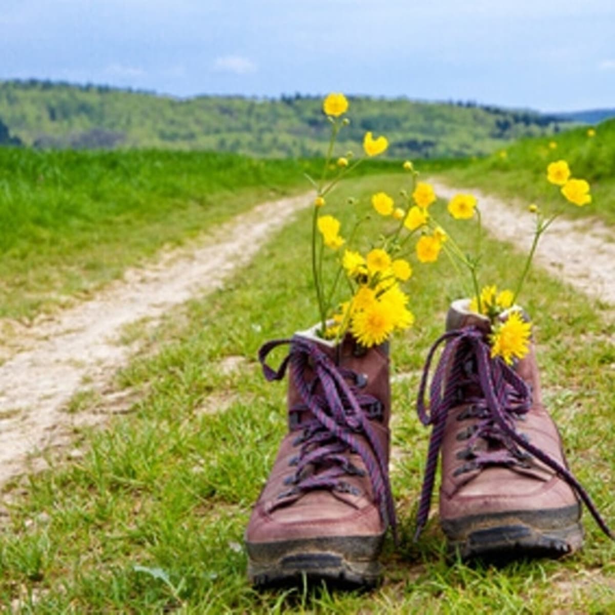 8. La Trinchera 15 al 21 de junio 2020 - Primeras Lecturas cover