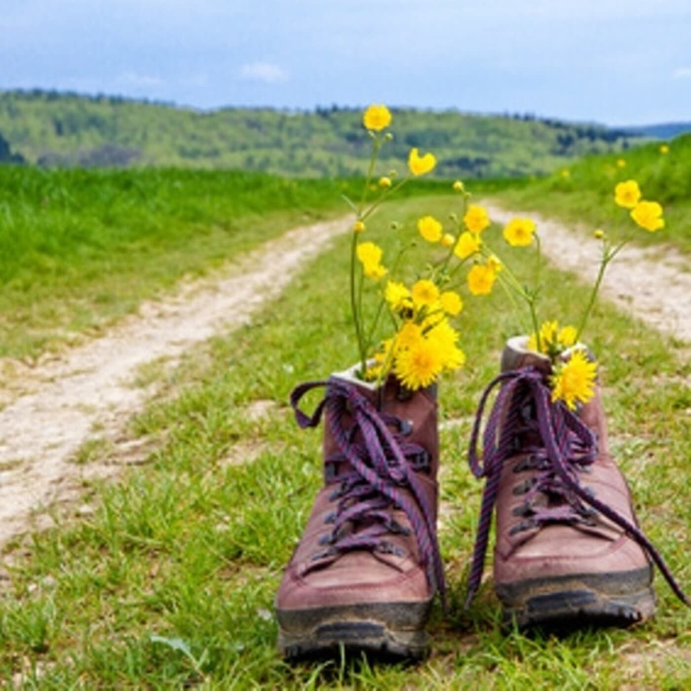 8. La Trinchera 15 al 21 de junio 2020 - Primeras Lecturas cover