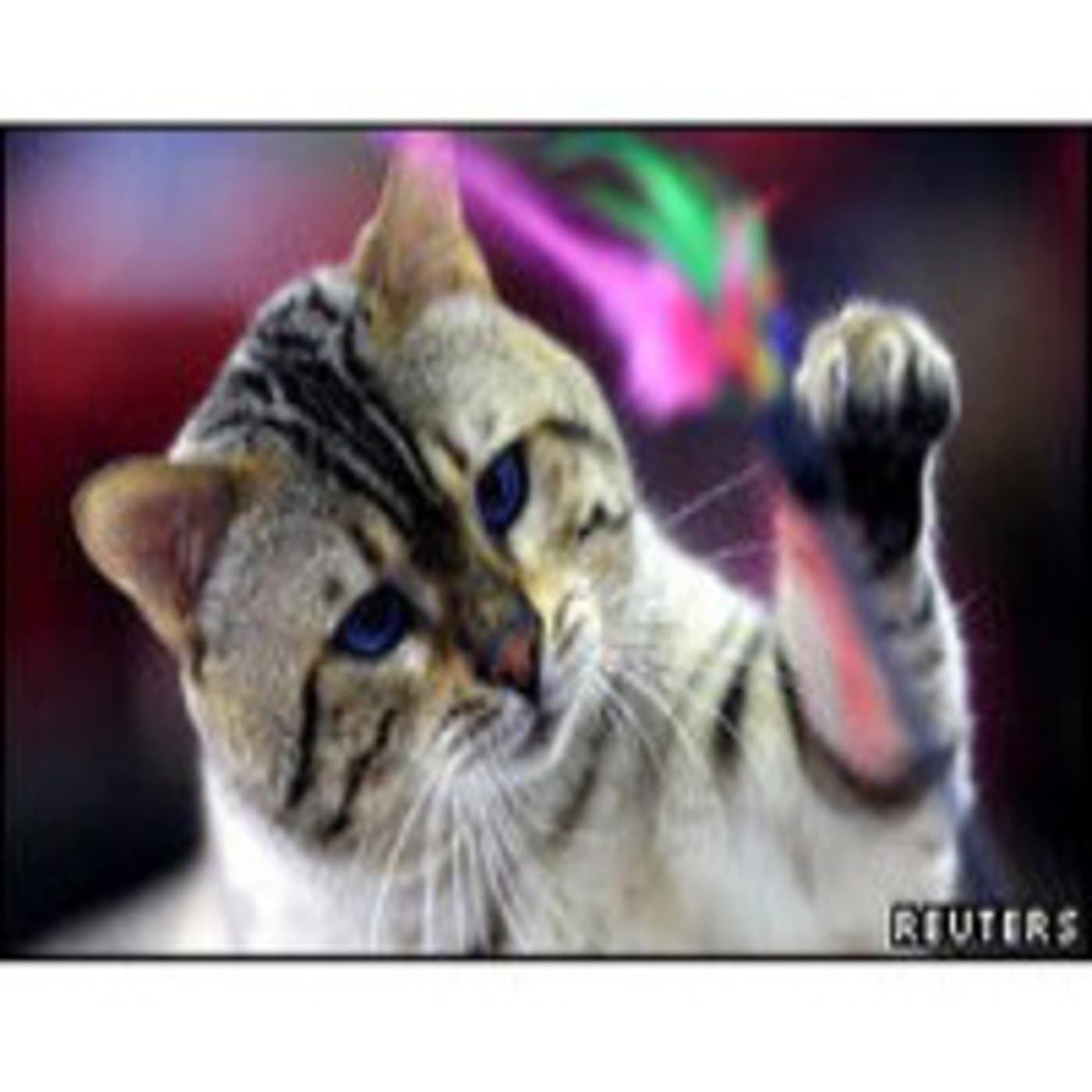 Touchy-feely - The English We Speak (+Texts) cover