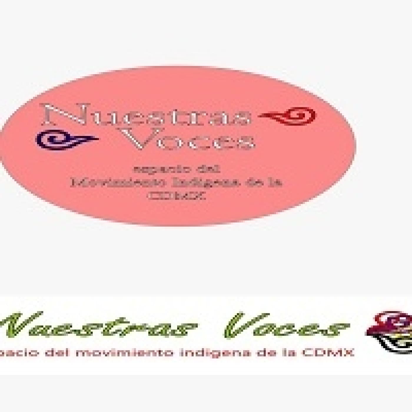 Nuestras Voces 01042026 p 392 - Proyecto Radio MX cover