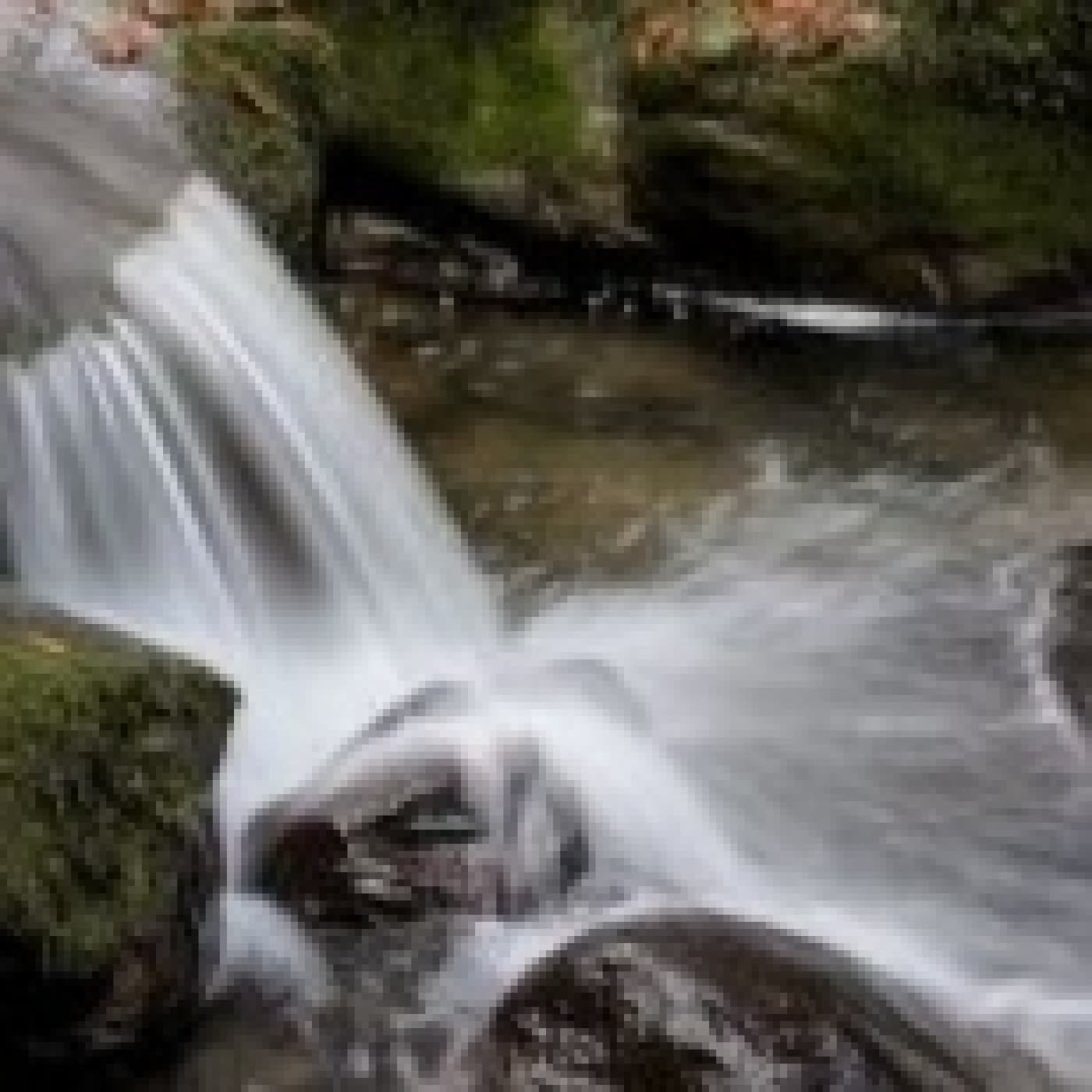 Amor y vida... - Angel L. Perez cover