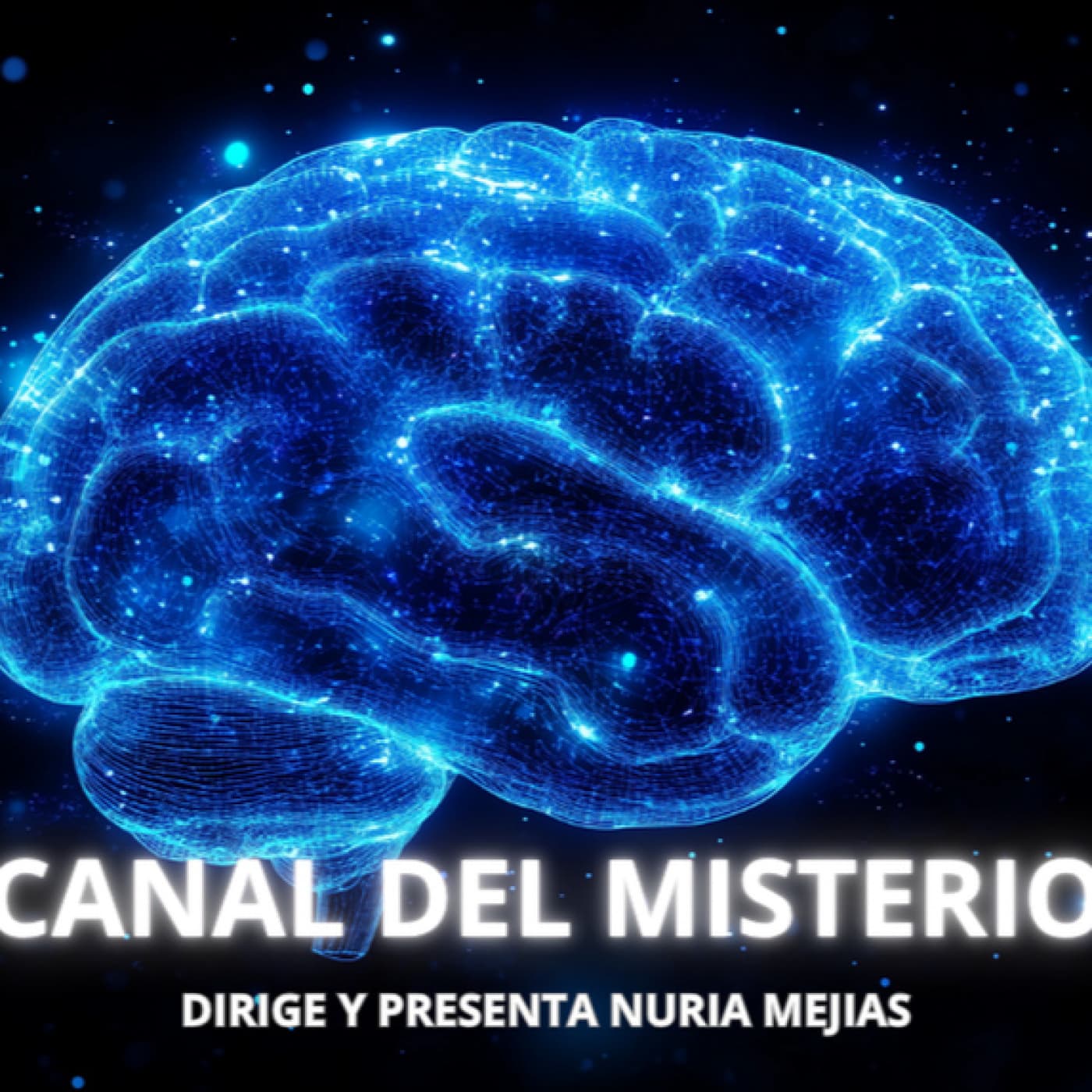 438- 5x11- COMO POTENCIAR LA MEMORIA- ASTRONOMÍA- RECETARIO DE LA SALUD — CDM-CANAL DEL MISTERIO (Programa) cover
